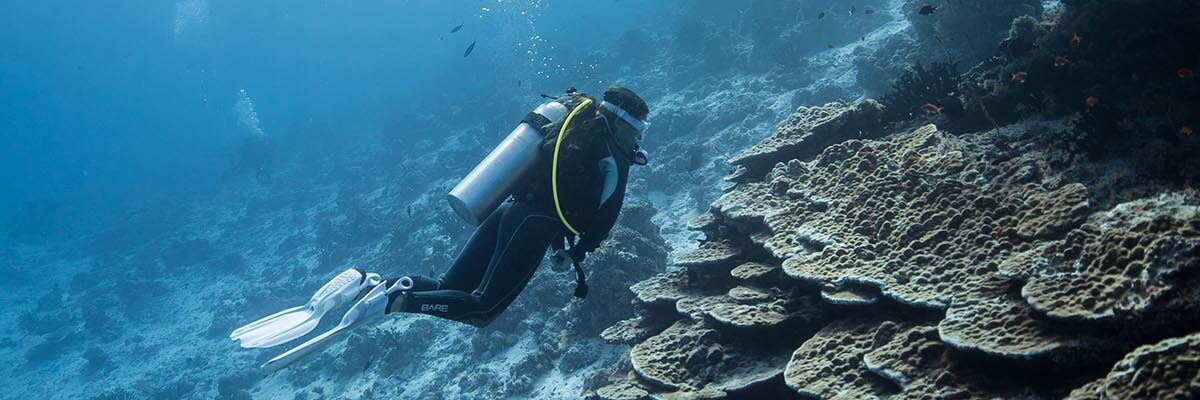 Diver Underwater